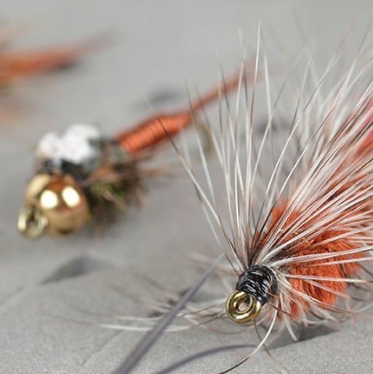Flies Direct BH Prince Nymph Assortment Trout Fishing Flies (1