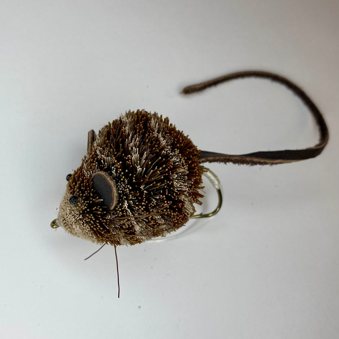 Dry Mouse Brown