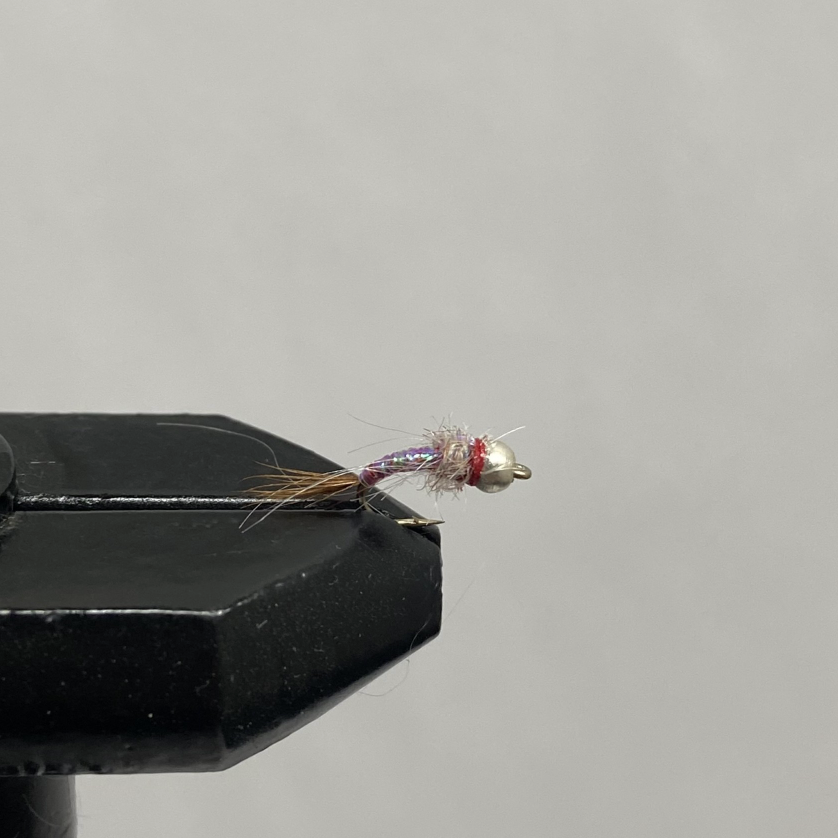 Nymph Rainbow Warrior