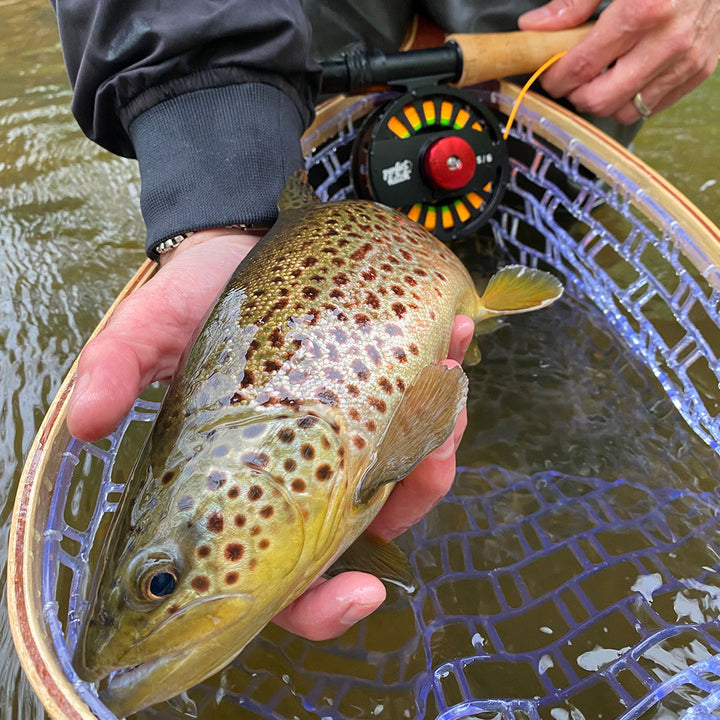 The Veteran Fly Fishing Reel