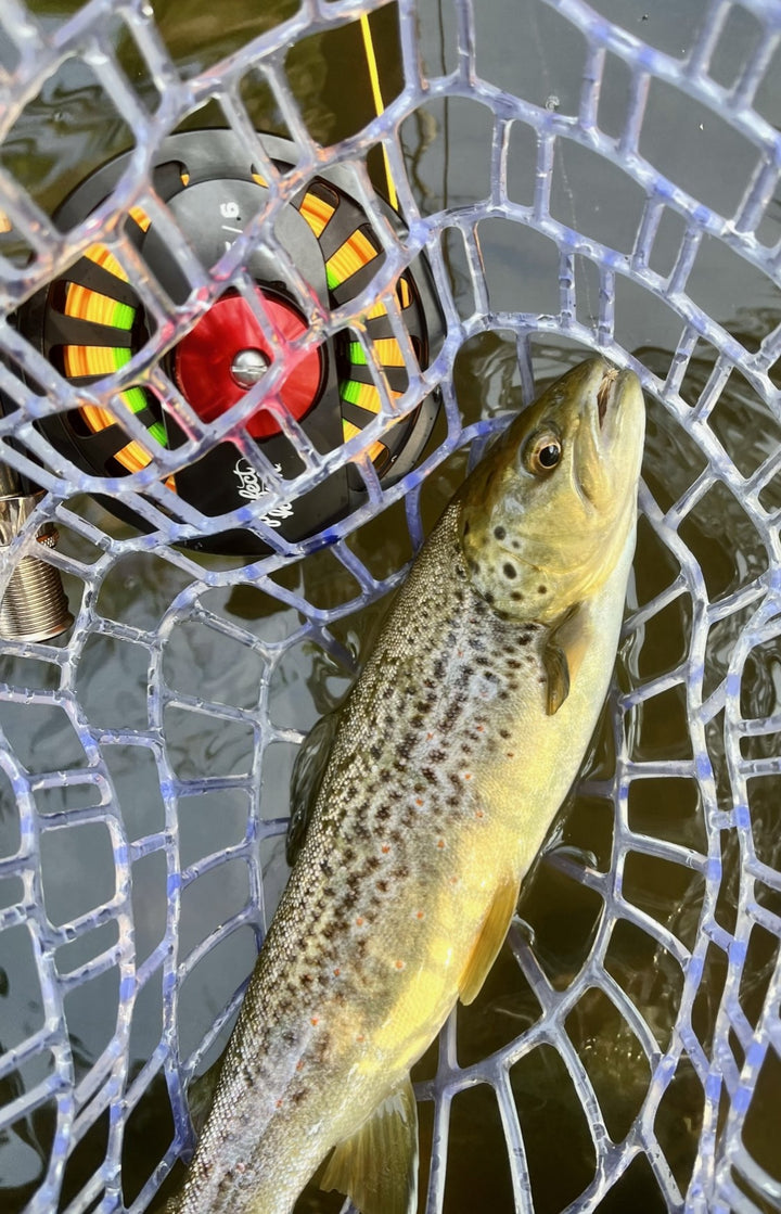 The Veteran Fly Fishing Reel