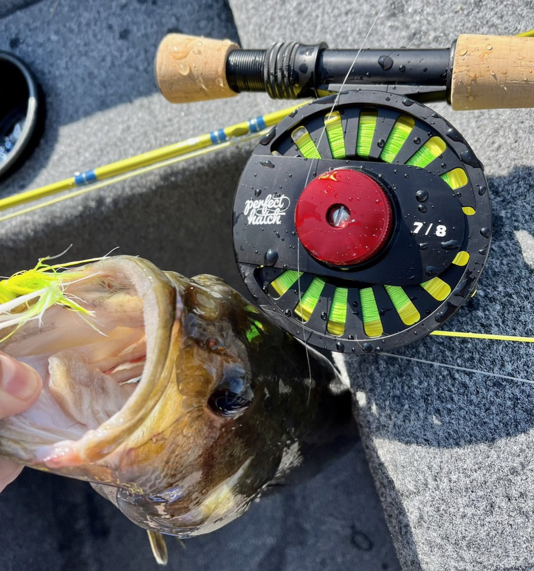 The Veteran Fly Fishing Reel