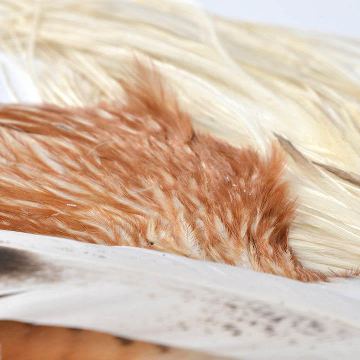 Feather Variety Pack Natural