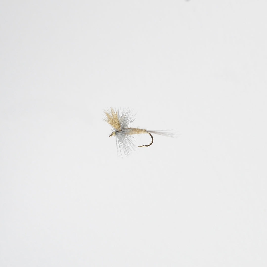 Dry Light Hendrickson