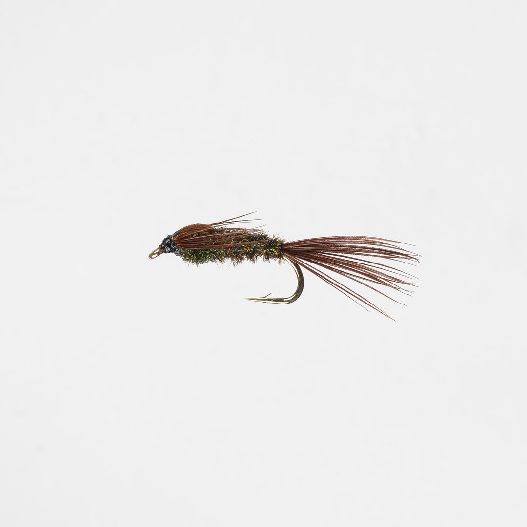 Nymph Halfback
