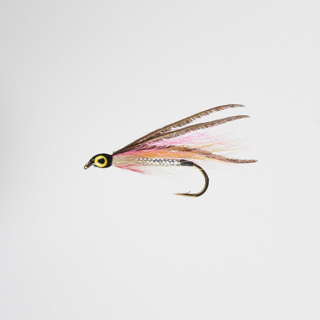 Streamer Rainbow Smelt