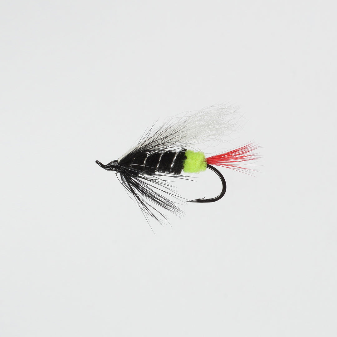Salmon Green Butt Skunk