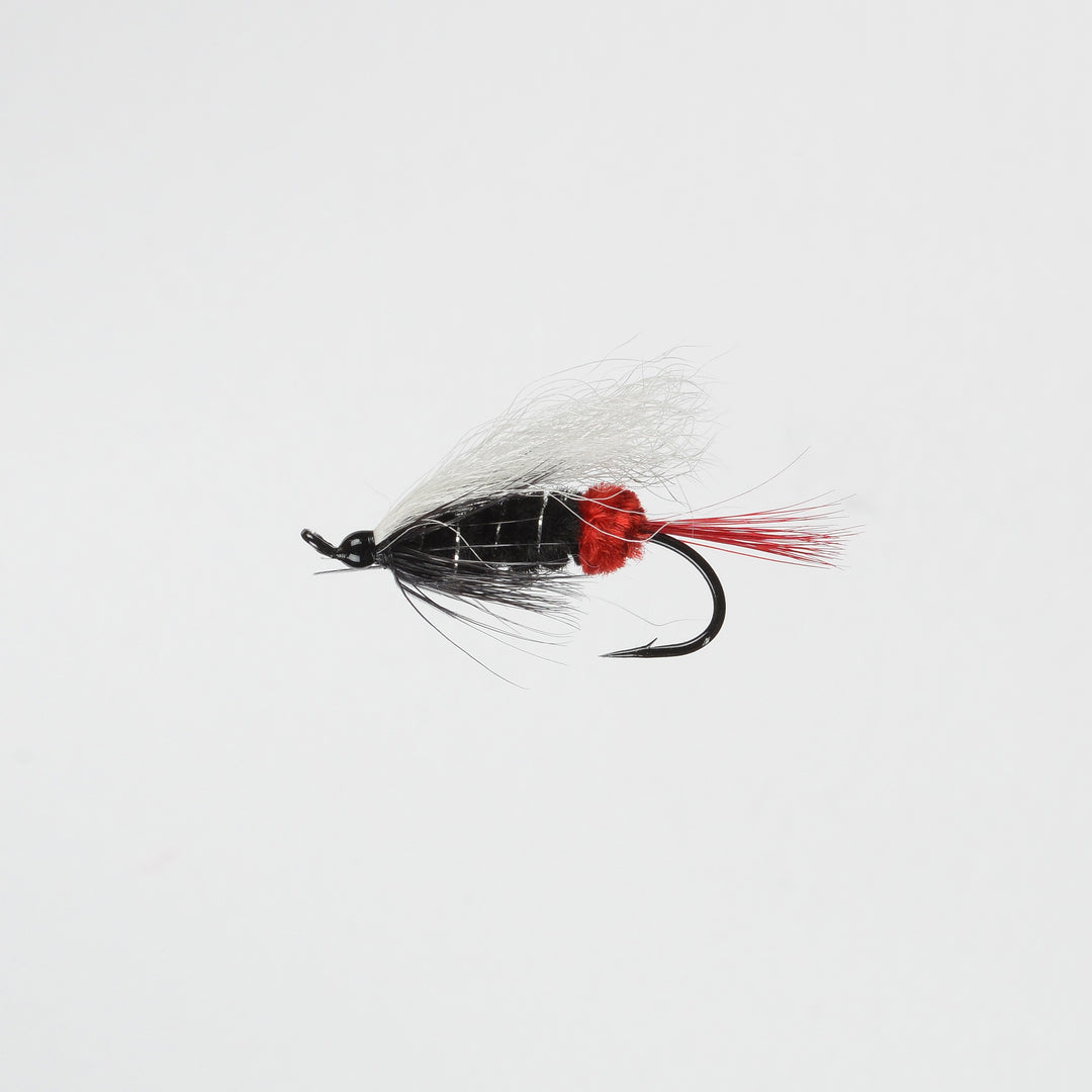 Salmon Red Butt Skunk