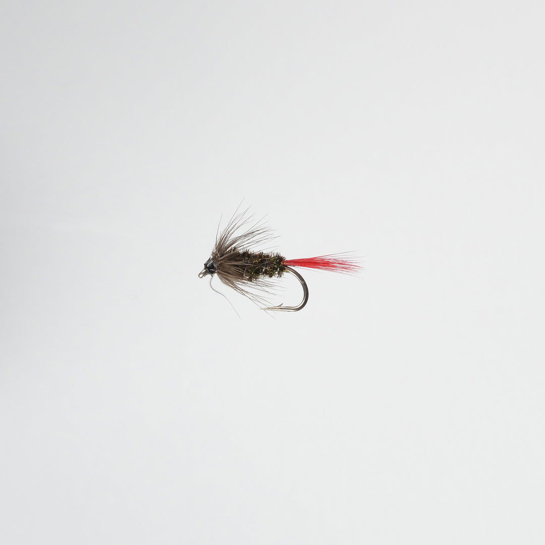 Wet Grey Hackle Peacock