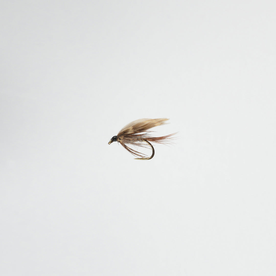 Wet March Brown