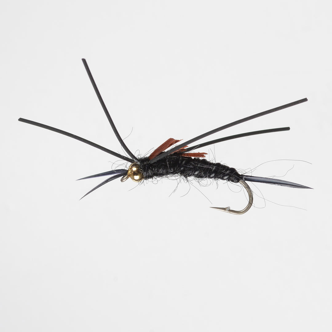 Nymph BH Rubber Leg Stonefly Black