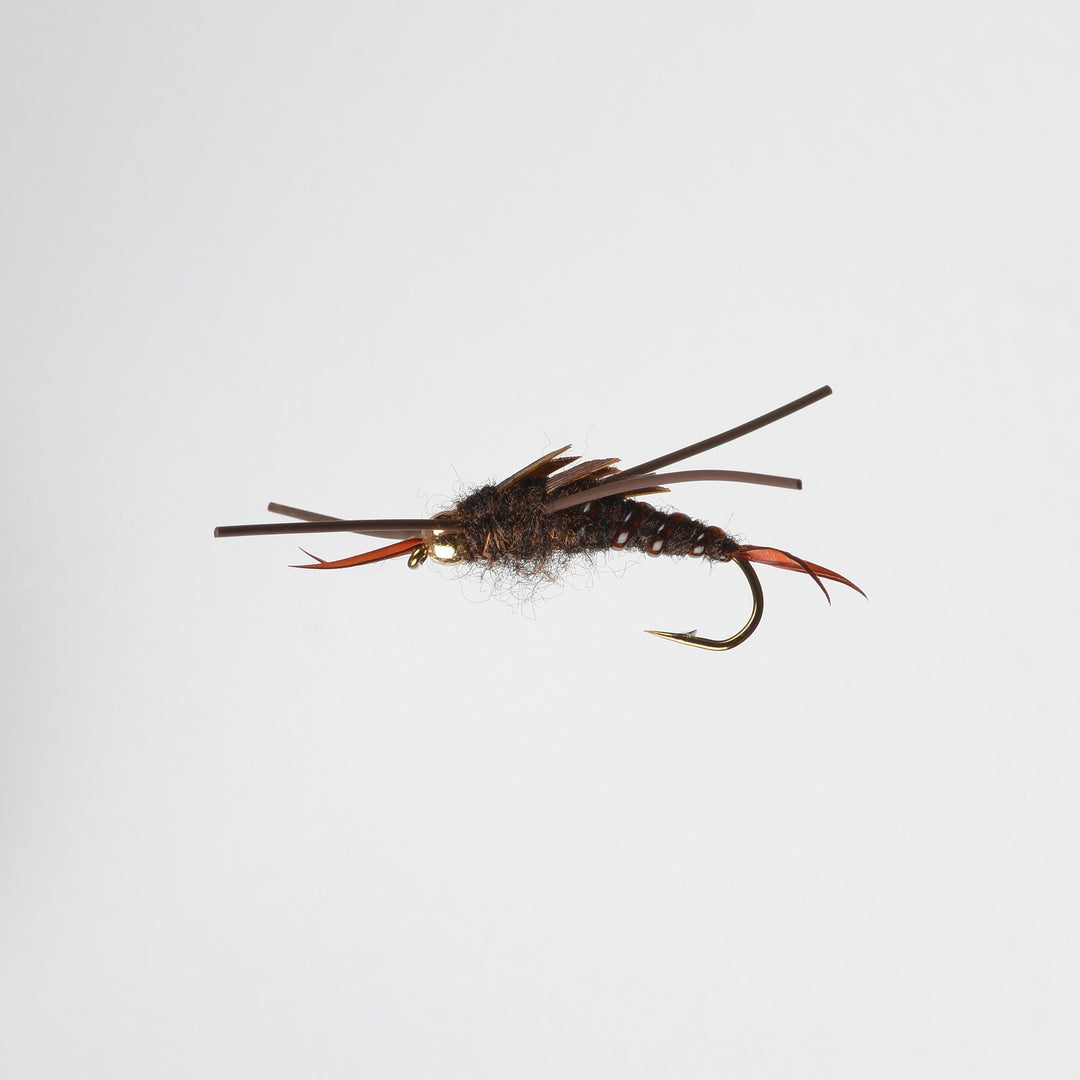 Nymph BH Rubber Leg Stonefly Brown