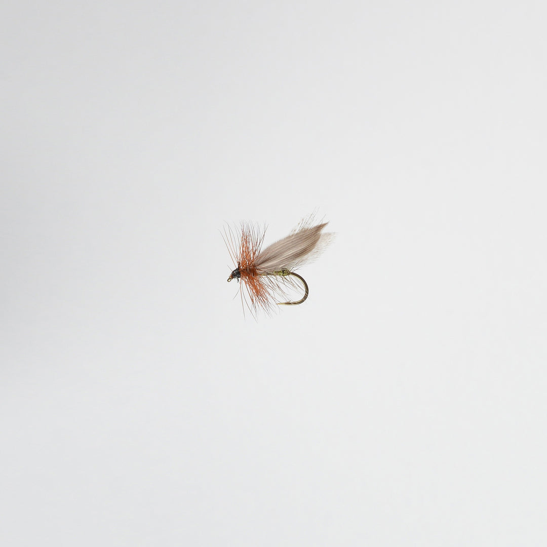 Dry Elk Hair Caddis Henryville