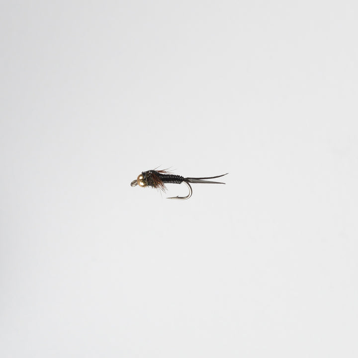 Nymph BH Copper John Black