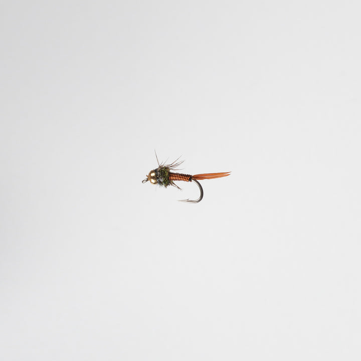 Nymph BH Copper John Copper