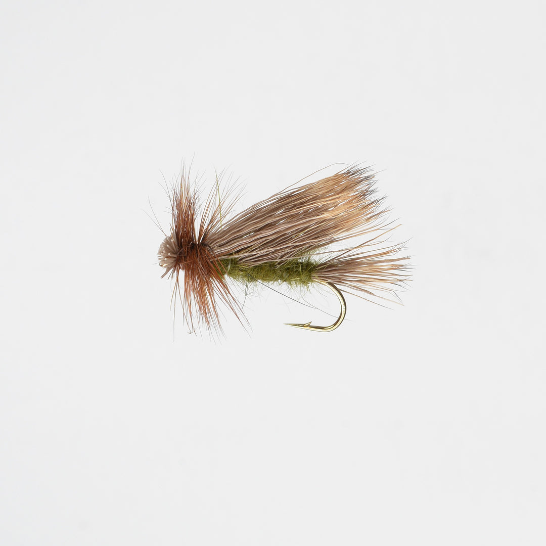 Dry Mikulak Sedge