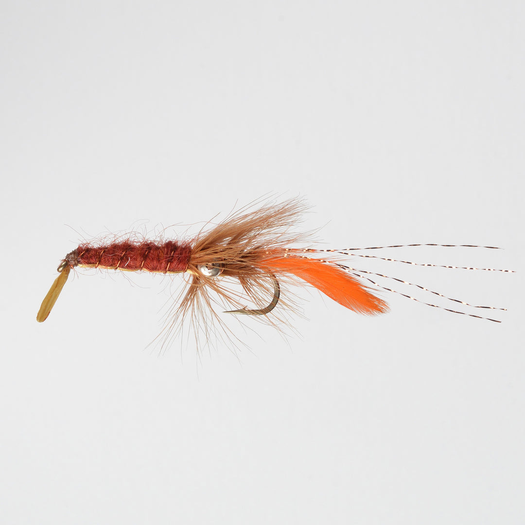 Streamer Crayfish