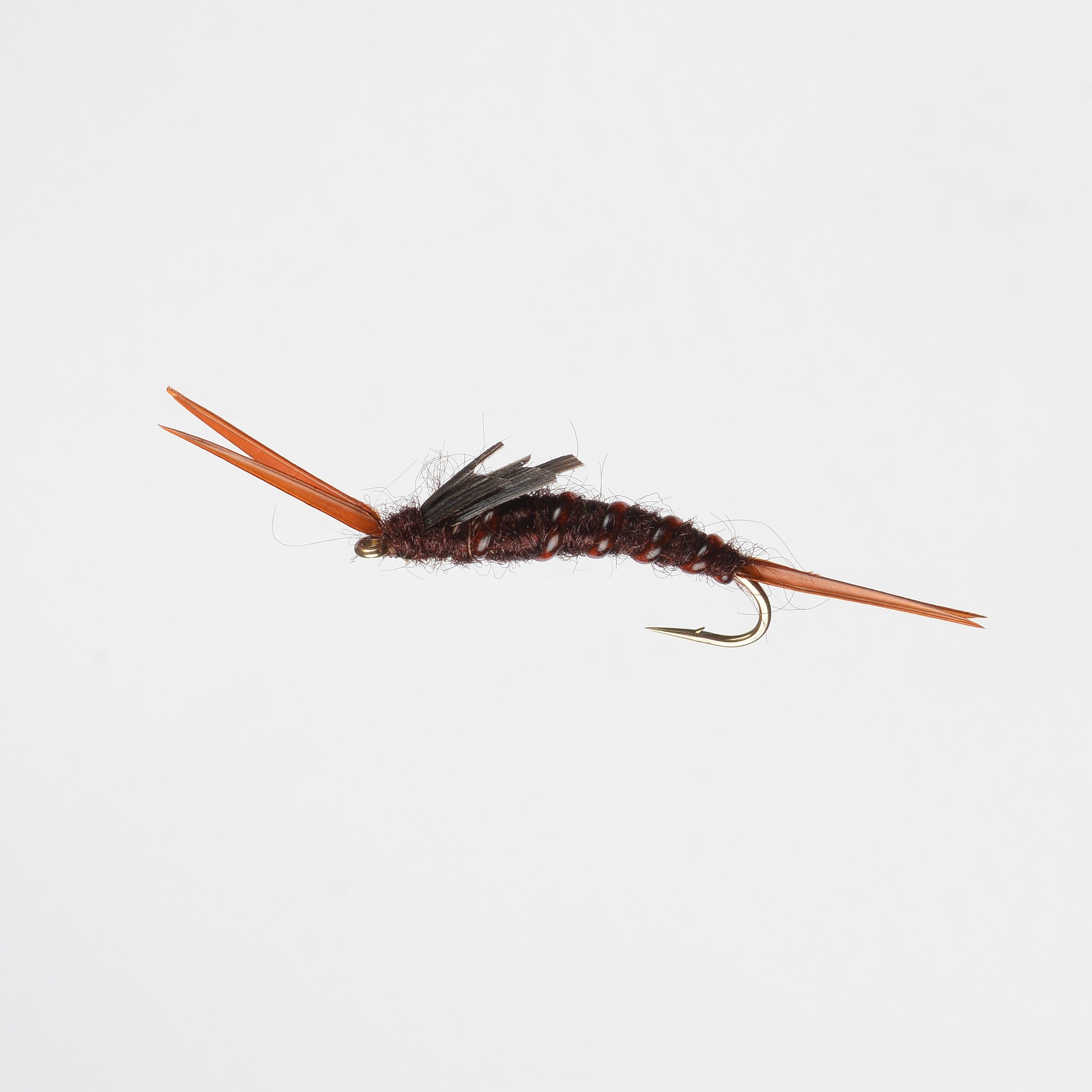 Stonefly Nymph Black S10 Fishing Fly, Nymphs