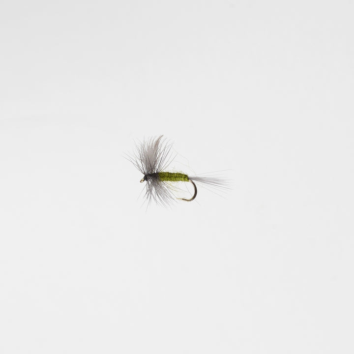 Dry Blue Winged Olive