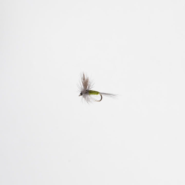 Dry Blue Winged Olive