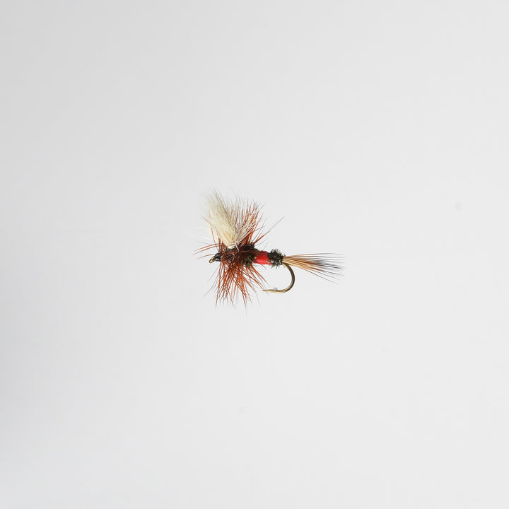 Dry Royal Wulff