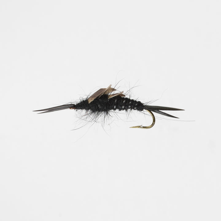 Nymph Stonefly Black