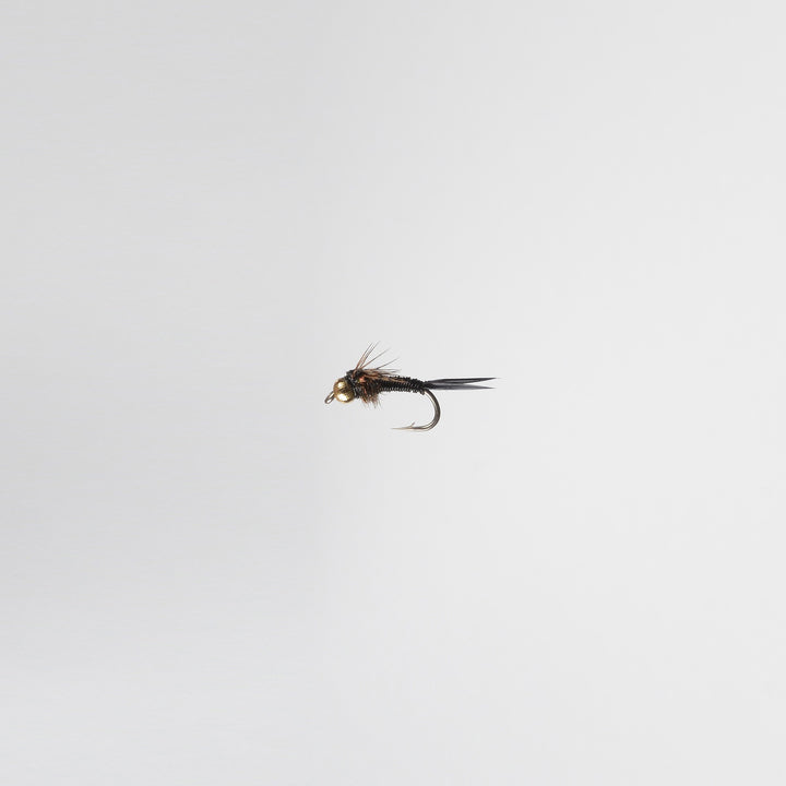 Nymph BH Copper John Black