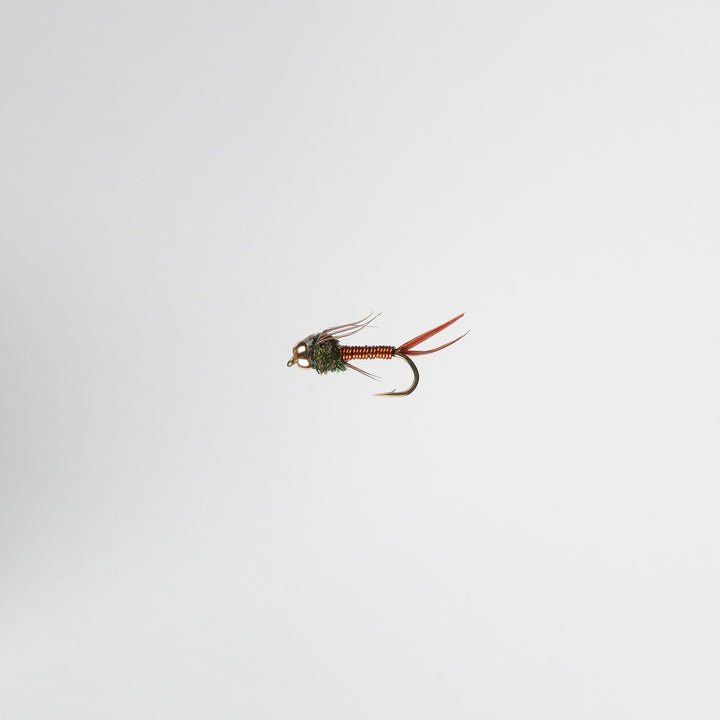 Nymph BH Copper John Copper