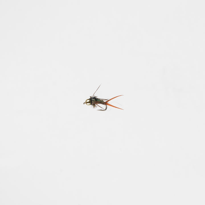 Nymph BH Copper John Green