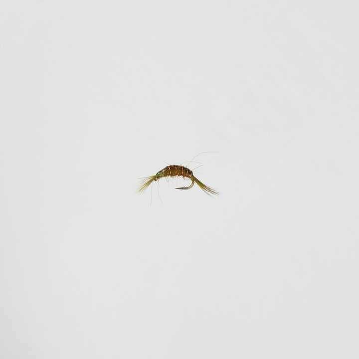 Nymph Scud Olive