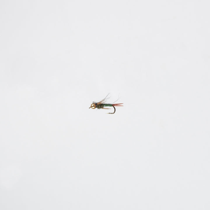 Nymph BH Copper John Green