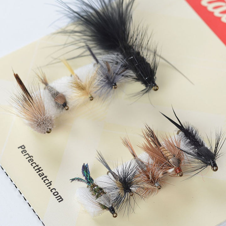 Eastern Trout Assortment