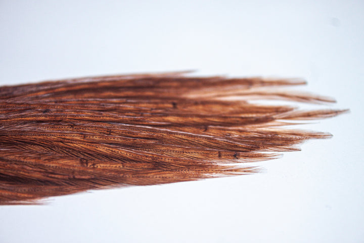 Coachman Brown Dry Fly Patch 12-14