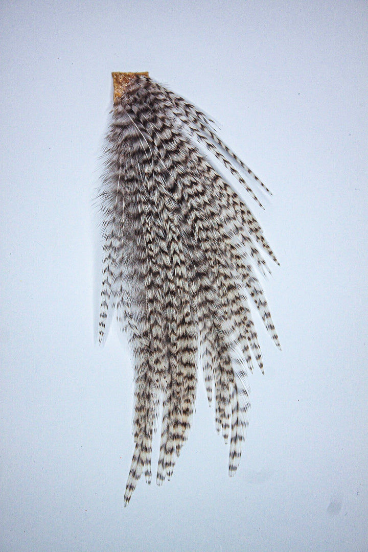 Grizzly Dry Fly Mini Patch 12-14