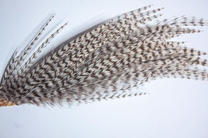 Grizzly Dry Fly Mini Patch 12-14