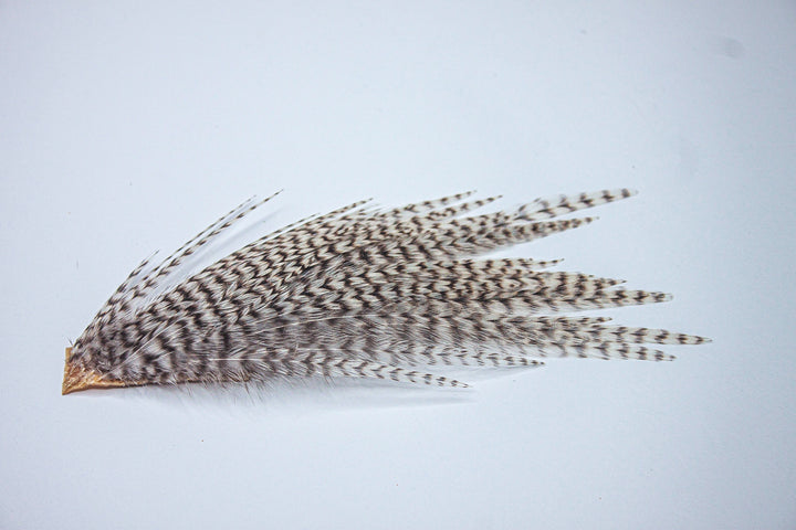 Grizzly Dry Fly Mini Patch 12-14