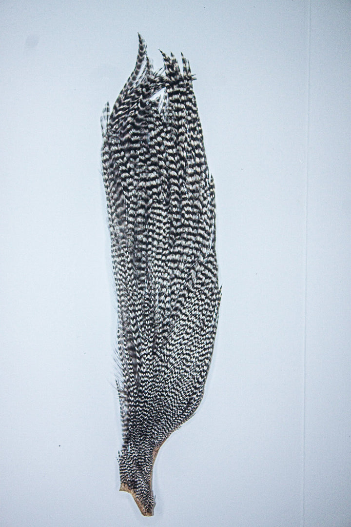 Grizzly Half Cape Select Grade