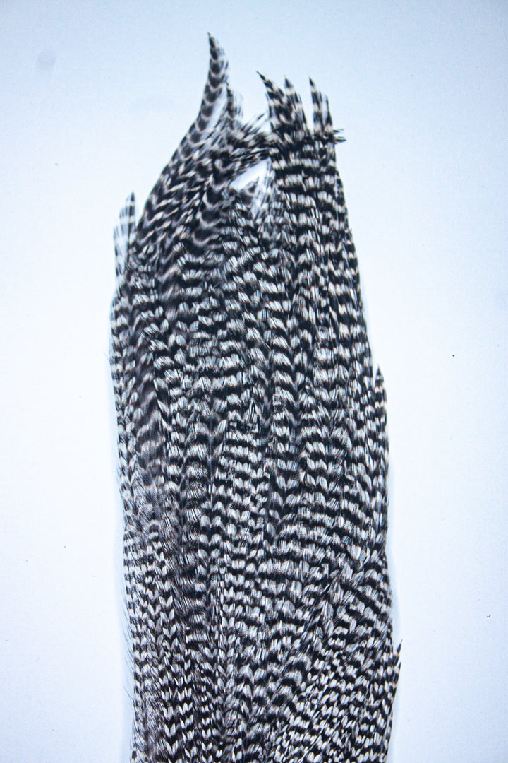 Grizzly Half Cape Select Grade