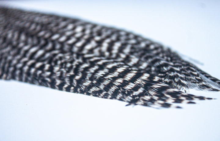 Grizzly Half Cape Select Grade