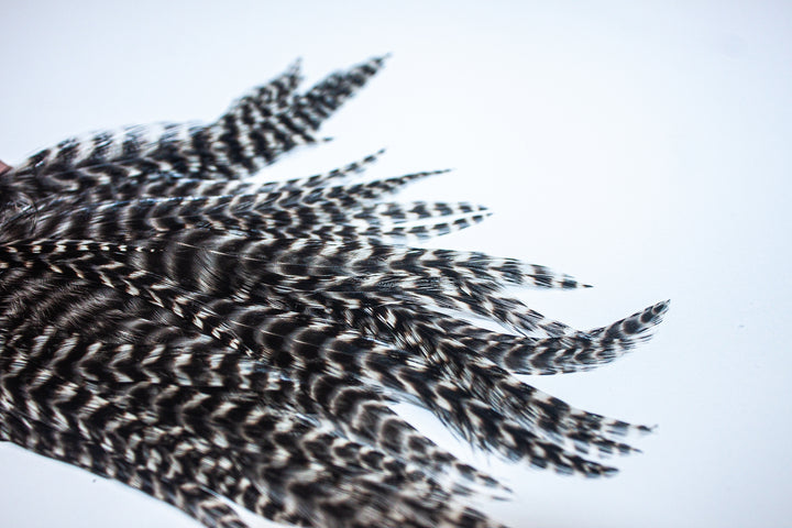 Grizzly Half Cape Select Grade