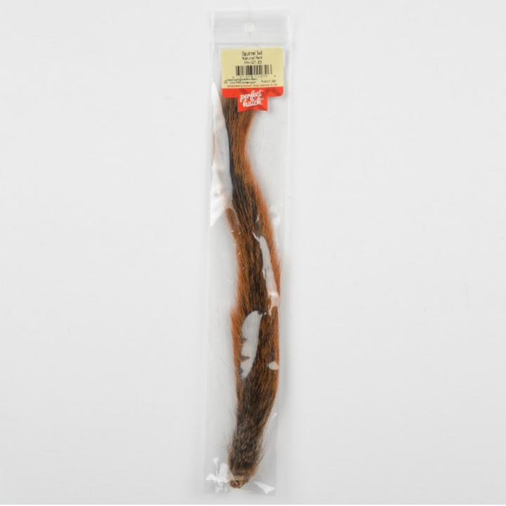 Squirrel Tail
