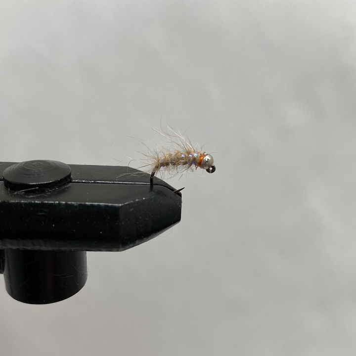 Nymph Sexy Walt's Worm