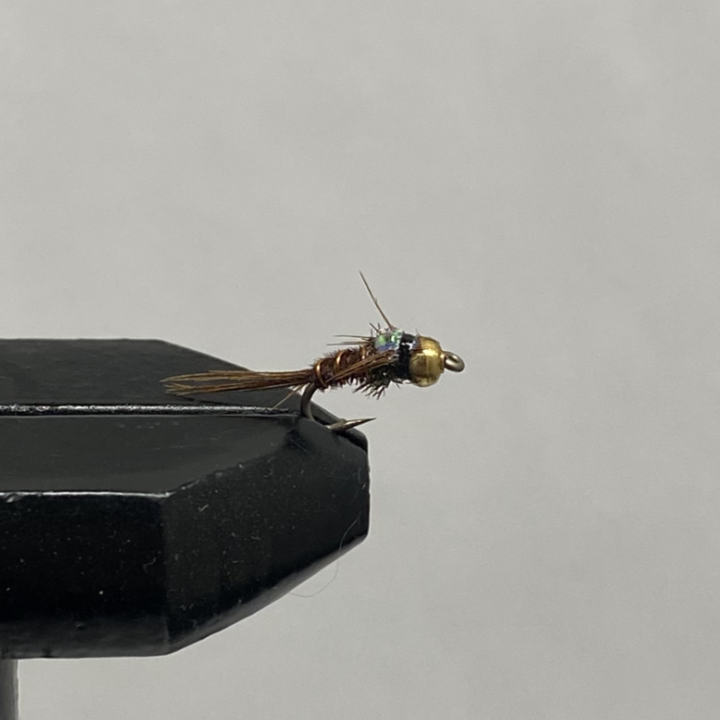 Nymph BH Flashback Pheasant Tail