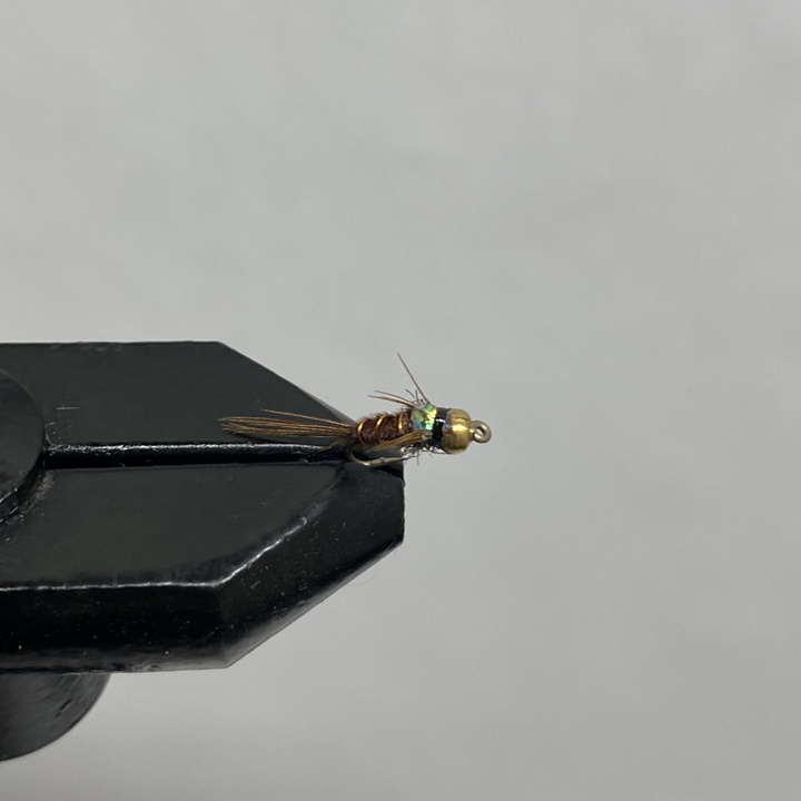 Nymph BH Flashback Pheasant Tail