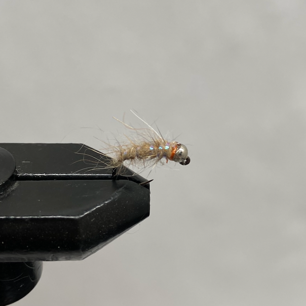 Nymph Sexy Walt's Worm