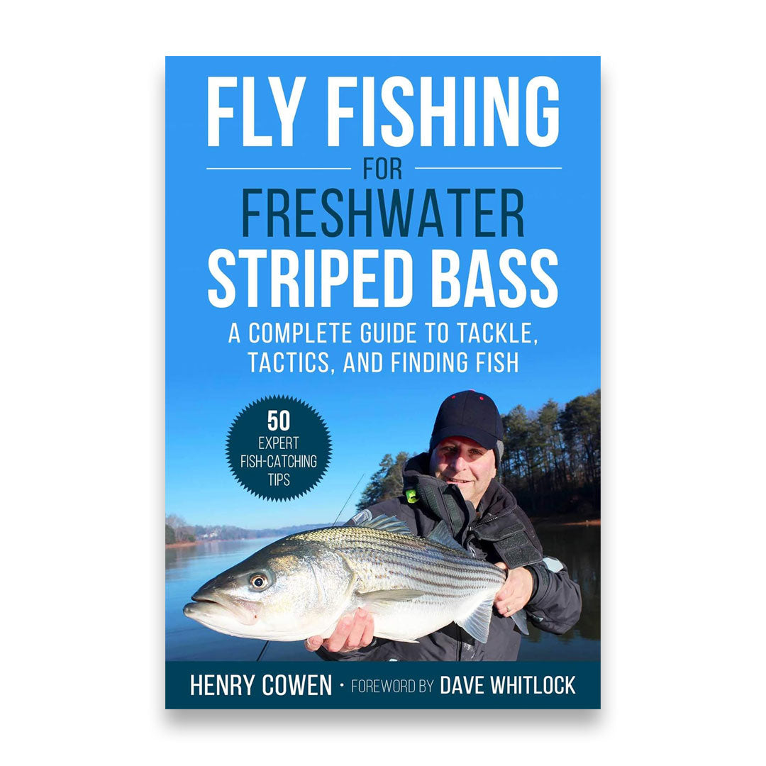 Fly Fishing for Freshwater Striped Bass: A Complete Guide to Tackle, Tactics, and Finding Fish