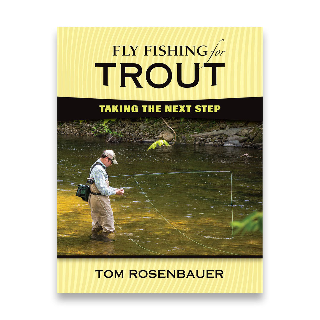 Fly Fishing for Trout: The Next Level