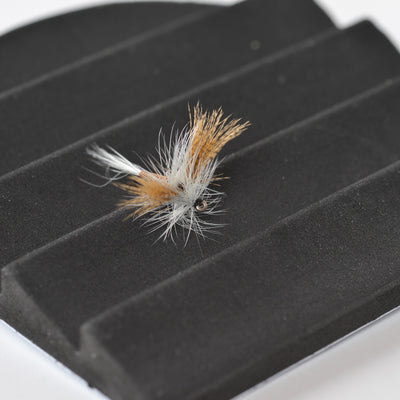 Fly Foam Patch w/pin