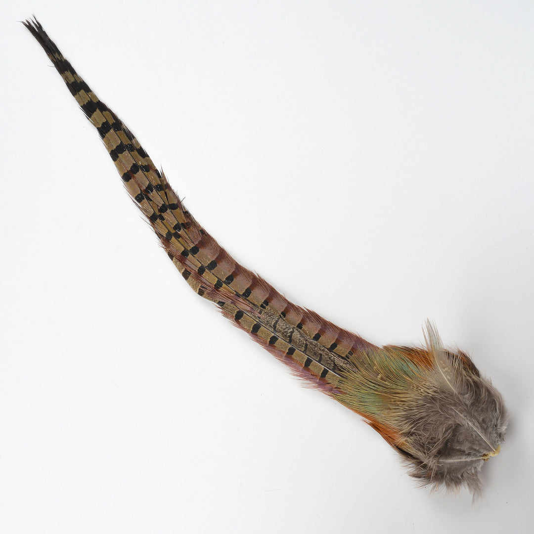 Ringneck Pheasant Center Tail Natural