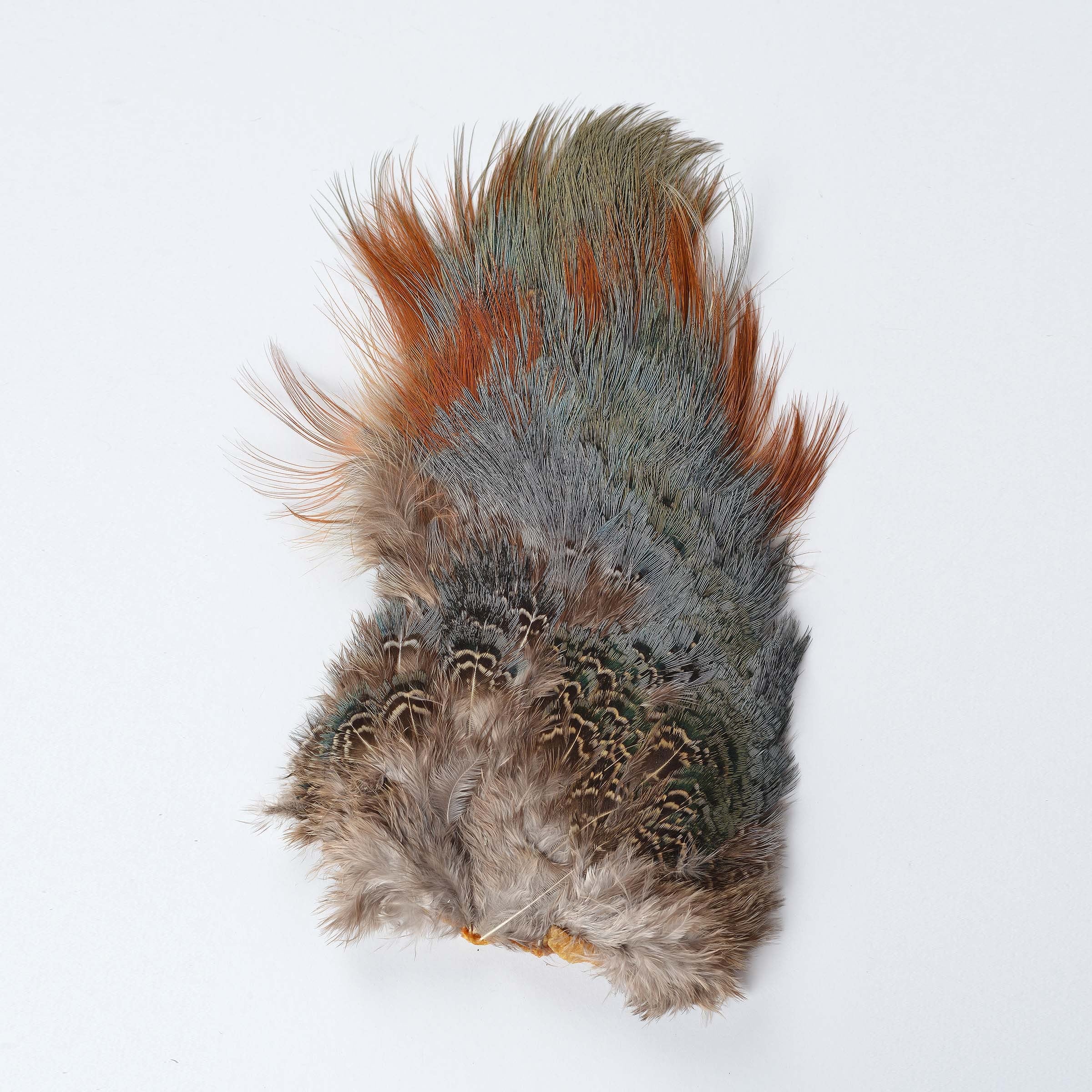 Ringneck Pheasant Rump Patch Natural – Perfect Hatch